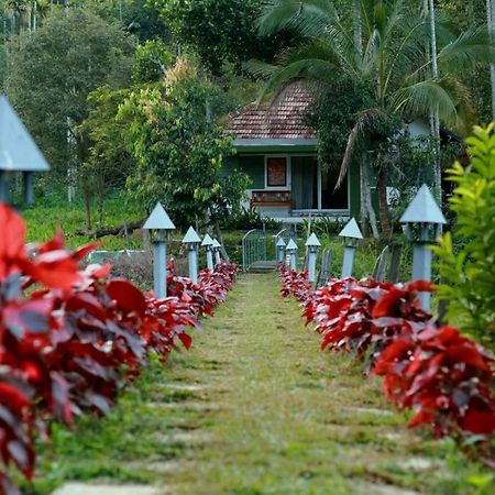 Ayurnest Pool Resort Wayanad Batheri Luaran gambar