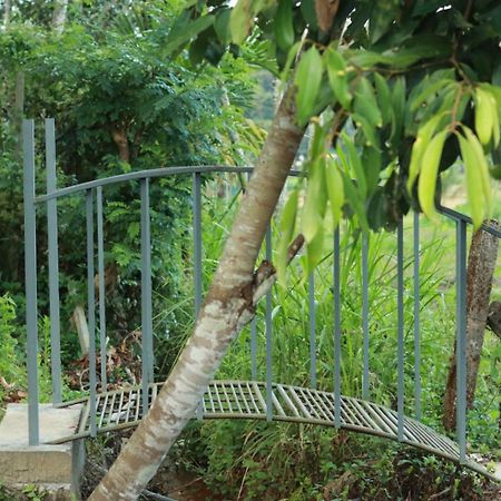 Ayurnest Pool Resort Wayanad Batheri Luaran gambar
